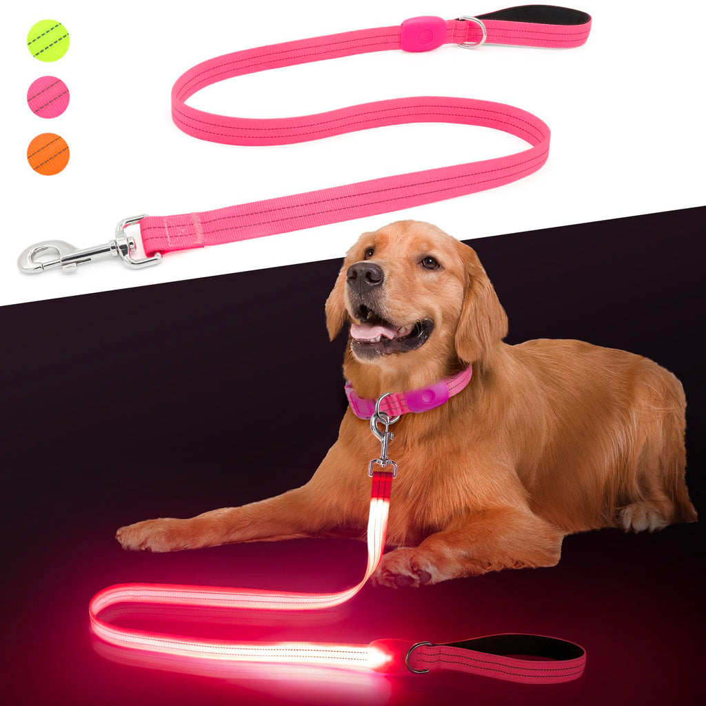 BrightTrail LED dog safety leash