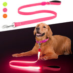 BrightTrail LED dog safety leash
