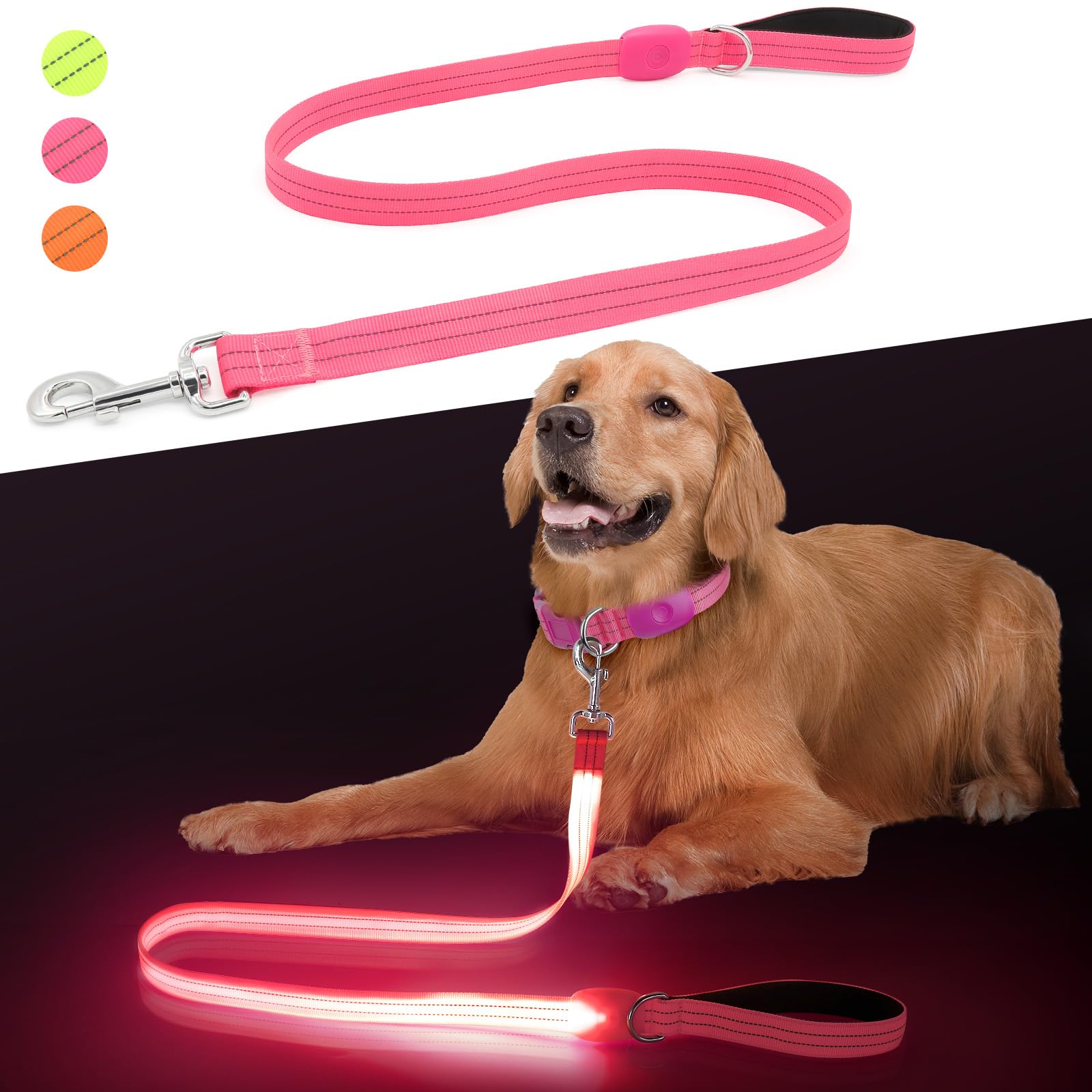 BrightTrail LED dog safety leash