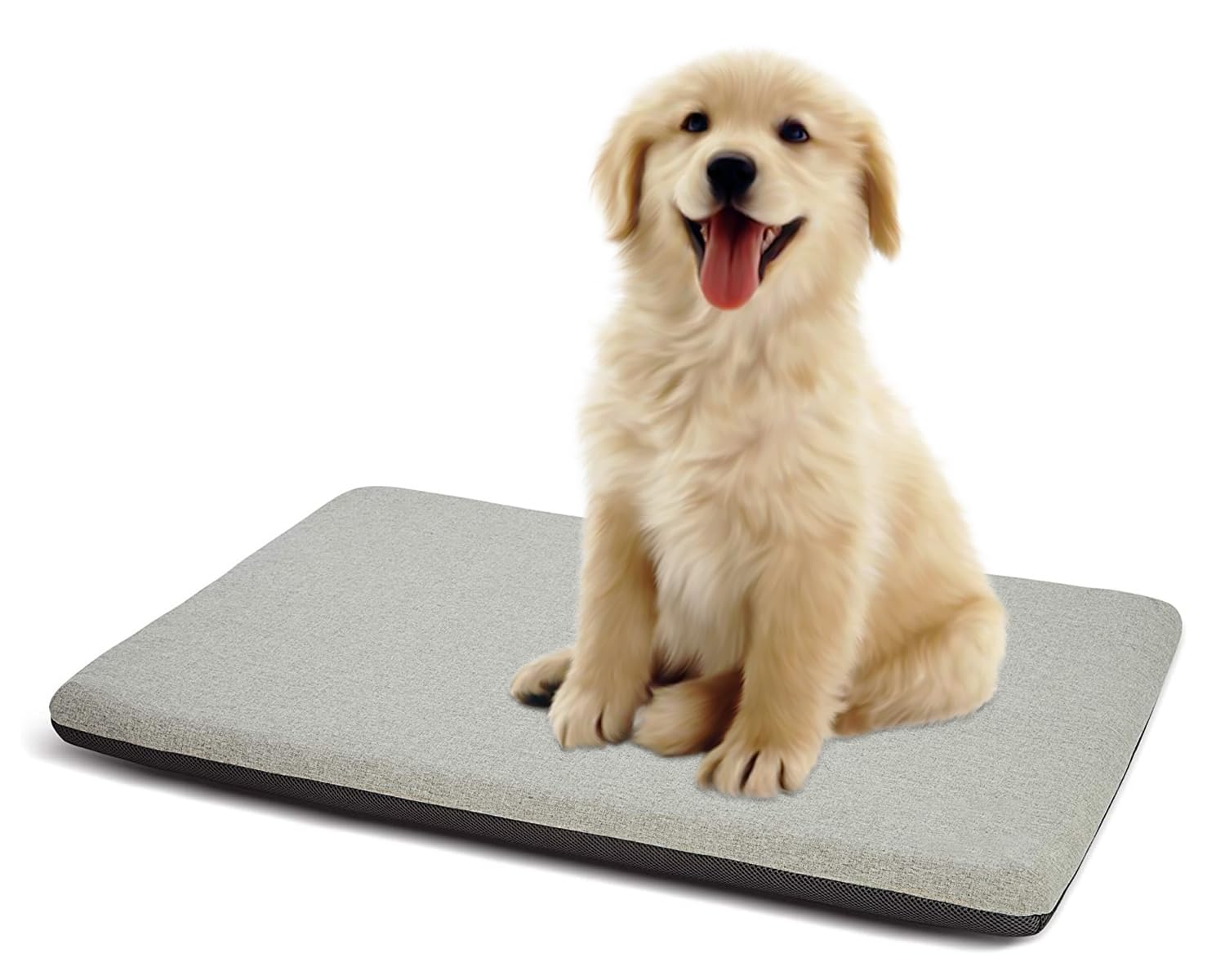 OrthoRest orthopedic memory foam dog bed