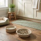 SlowBite bowl beside a water bowl