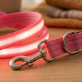 Close-up of BrightTrail LED strip and clasp
